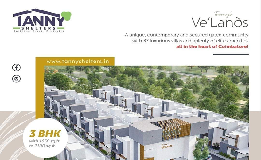 Budget 3 BHK Apartment